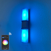 9W Tuya APP contrôle applique led lumière app contrôle app contrôle lumière or ceinture applique murale Smart applique éclairage extérieur