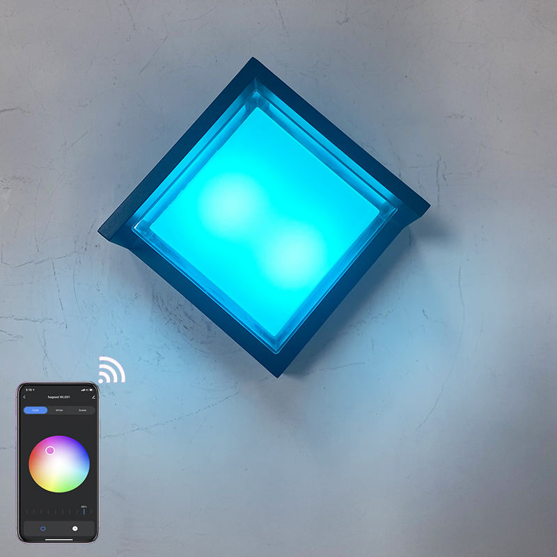 Coque transparente 9W APP éclairage acrylique étanche IP65 LED applique murale pour la décoration de jardin avec prix d'usine éclairage de salon
