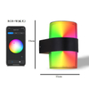 Tuya Smart App Control étanche IP 65 LED Wandlamp coloré étanche extérieur applique moderne lumière extérieure