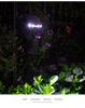 Lumière solaire fixée au mur imperméable actionnée solaire extérieure lumineuse élevée de la barrière LED pour le jardin