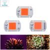 Puce de croissance LED intérieure haute puissance 20W 30W 50W pour l'éclairage de croissance des plantes
