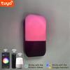 9W Tuya APP Contrôle Applique Led Lumière App Contrôle App Contrôle Lumière App Contrôlé Led Lumières Rainbow Bean Applique Murale Intelligente Applique