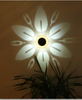 Lumières de jardin lumière LED solaire extérieure rvb couleur changeante lampe de pelouse de voie solaire pour décor de jardin éclairage de paysage