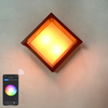 Minimalisme Style Tuya Smart WiFi mur LED lampe 10W RGBW extérieur intérieur APP étanche applique Dimmable jardin lumière