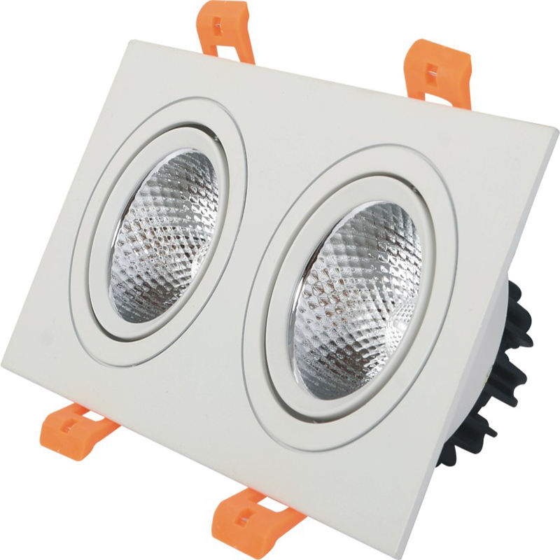 Les doubles têtes ont mené la lumière de tache de plafond de Downlight LED Downlight intégré 10W 14W 20W 24W Downlight