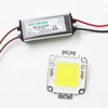 Vrai plein Watt 10W 20W 30W 50W 100w haute puissance COB lampe à LED puces ampoule avec pilote de LED pour bricolage projecteur Spot lumière pelouse