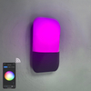 9W Tuya APP Contrôle Applique Led Lumière App Contrôle App Contrôle Lumière App Contrôlé Led Lumières Rainbow Bean Applique Murale Intelligente Applique