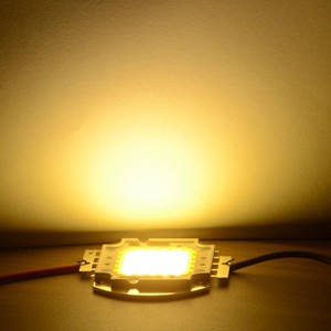 Vrai plein Watt 10W 20W 30W 50W 100w haute puissance COB lampe à LED puces ampoule avec pilote de LED pour bricolage projecteur Spot lumière pelouse