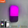 9W Tuya APP Contrôle Applique Led Lumière App Contrôle App Contrôle Lumière App Contrôlé Led Lumières Rainbow Bean Applique Murale Intelligente Applique