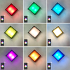 Coque transparente 9W APP éclairage acrylique étanche IP65 LED applique murale pour la décoration de jardin avec prix d'usine éclairage de salon