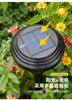 Jardin lumière solaire lampe à énergie solaire paysage éclairage étanche IP65 voie cour pelouse décoration extérieure LED