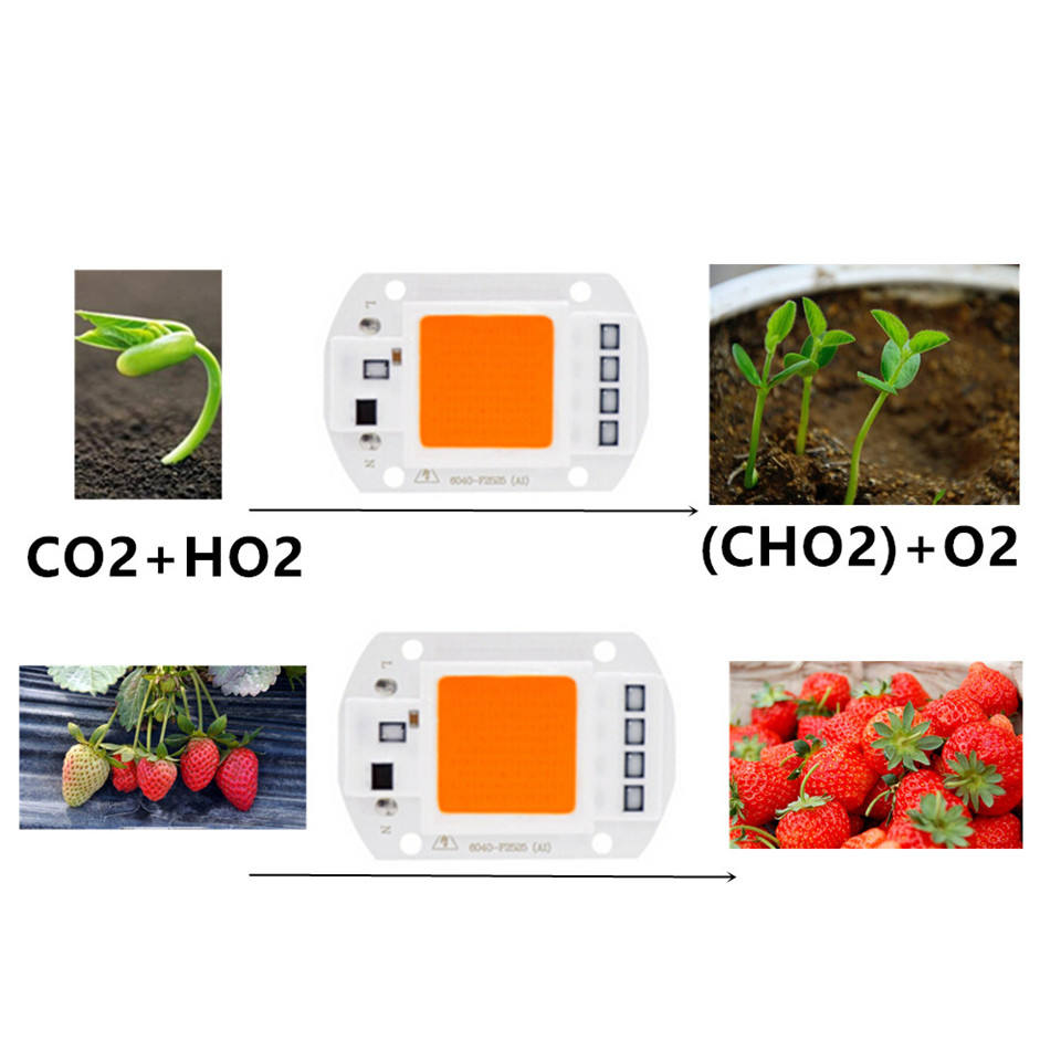 Puce de croissance LED intérieure haute puissance 20W 30W 50W pour l'éclairage de croissance des plantes