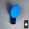 9W applique murale intelligente lampes intelligentes lumière led contrôle de l'application lumière led contrôle de l'application éclairage contrôlé par l'application Tuya App applique extérieure téléphone portable applique murale télécommandée