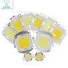 Super 10W 20W 30W 50W 100W LED intégré ampoule LED haute puissance blanc/blanc chaud puces EPISTAR COB lampes LED