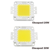 Super 10W 20W 30W 50W 100W LED intégré ampoule LED haute puissance blanc/blanc chaud puces EPISTAR COB lampes LED