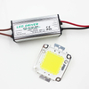 Vrai plein Watt 10W 20W 30W 50W 100w haute puissance COB lampe à LED puces ampoule avec pilote de LED pour bricolage projecteur Spot lumière pelouse