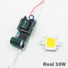 Vrai plein Watt 10W 20W 30W 50W 100w haute puissance COB lampe à LED puces ampoule avec pilote de LED pour bricolage projecteur Spot lumière pelouse