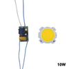 LED COB lampe perle 10W-30W puce de Source de lumière Conversion de commutateur froid/chaud avec adaptateur d'alimentation de contrôle de Segment pilote de bricolage
