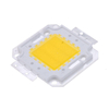 Vrai plein Watt 10W 20W 30W 50W 100w haute puissance COB lampe à LED puces ampoule avec pilote de LED pour bricolage projecteur Spot lumière pelouse