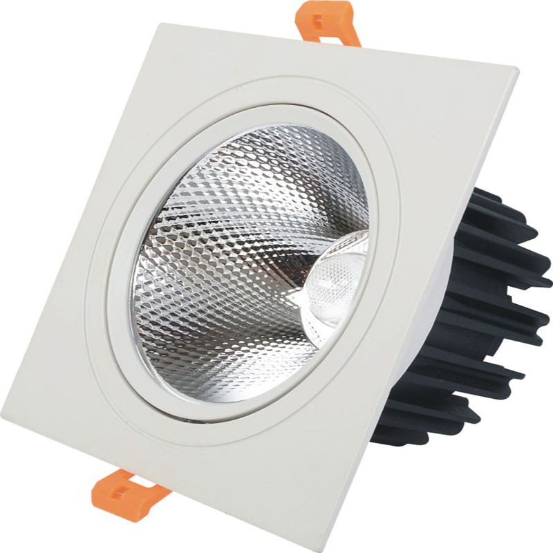 Les doubles têtes ont mené la lumière de tache de plafond de Downlight LED Downlight intégré 10W 14W 20W 24W Downlight