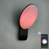 9W applique murale intelligente lampes intelligentes lumière led contrôle de l'application lumière led contrôle de l'application éclairage contrôlé par l'application Tuya App applique extérieure téléphone portable applique murale télécommandée