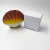 Ins offre spéciale haute qualité coquille immortelle artisanat lampe de chevet pour cadeau décoration de la maison chambre d'enfant veilleuse décorative