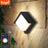 Coque transparente 9W APP éclairage acrylique étanche IP65 LED applique murale pour la décoration de jardin avec prix d'usine éclairage de salon