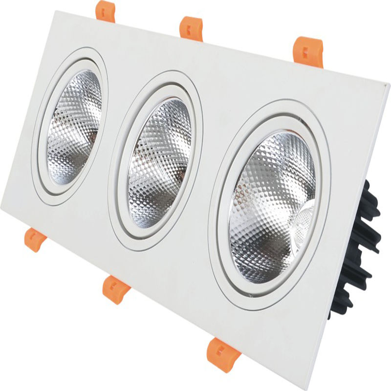 Les doubles têtes ont mené la lumière de tache de plafond de Downlight LED Downlight intégré 10W 14W 20W 24W Downlight