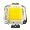 Vrai plein Watt 10W 20W 30W 50W 100w haute puissance COB lampe à LED puces ampoule avec pilote de LED pour bricolage projecteur Spot lumière pelouse