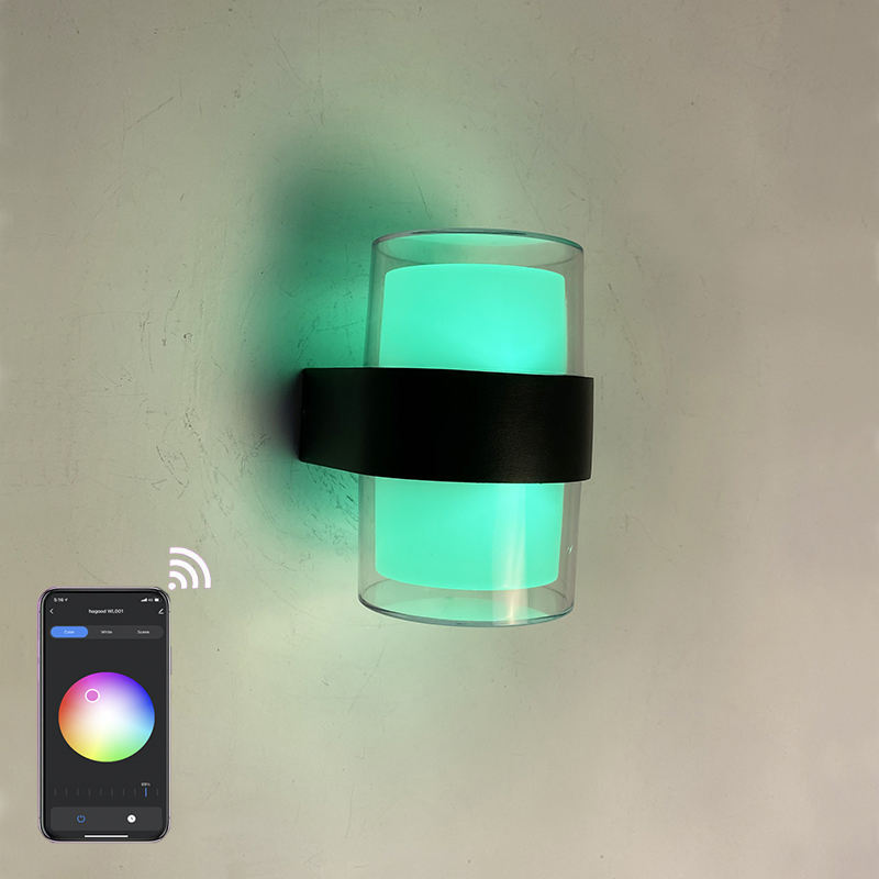 Tuya APP Smart light acrylique étanche applique murale ronde IP65 étanche coloré à la mode applique murale décorative