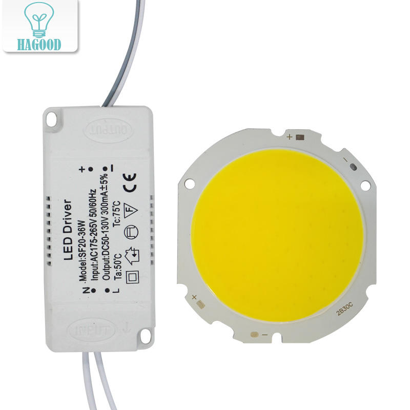 LED COB lampe perle 10W-30W puce de Source de lumière + adaptateur d'alimentation de pilote de LED blanc froid/chaud/naturel pour le spot LED bricolage